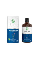 Astragalus - bezliehová tinktúra -100 ml