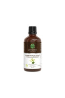 Alchemilka  žltozelená -kvapky-50 ml