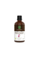 Echinacea tinktúra - kvapky-50 ml