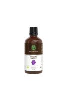 Vrbovka tinktúra - kvapky-50 ml